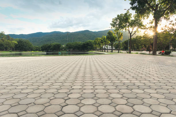 Paver Driveway Replacement in Bald Kno, AR